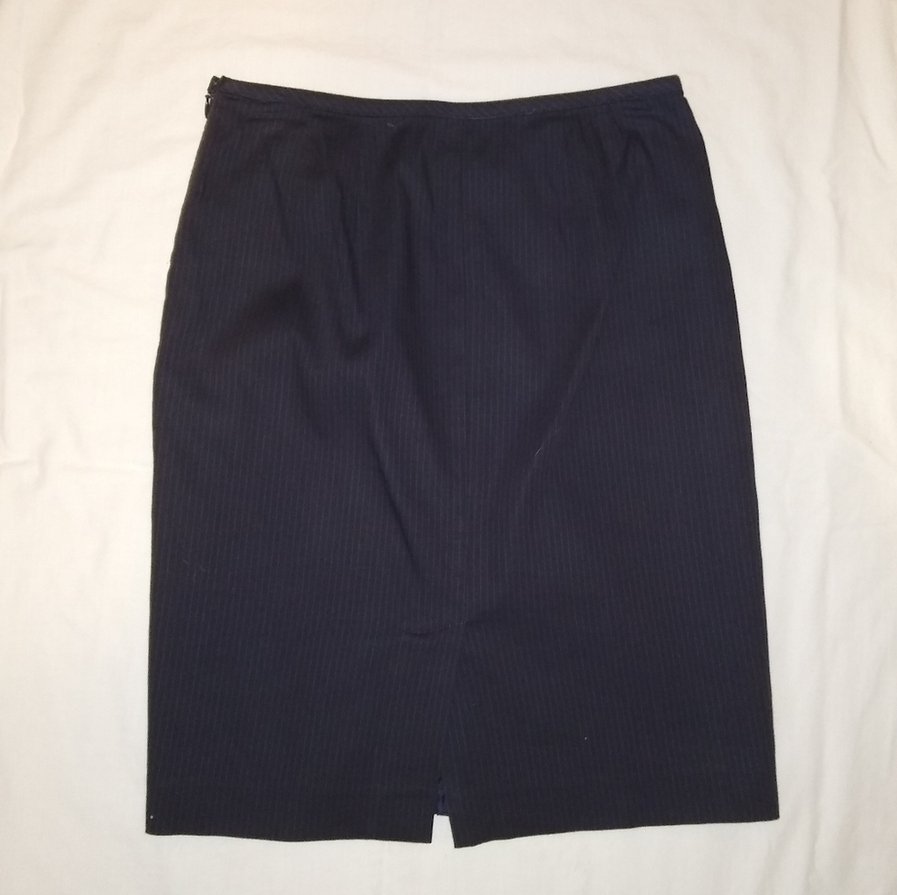 Ann Taylor skirt